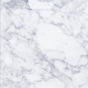 Meet your Posher, Jasmin